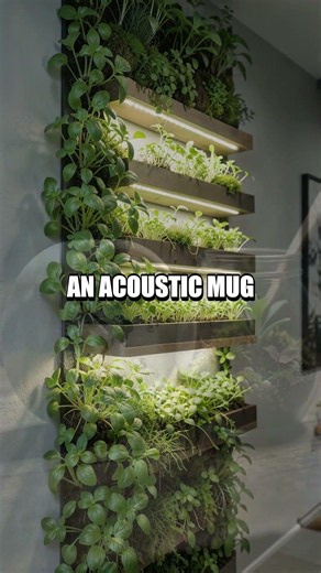 The Living Affinity: A Micro Studio's Quiet Ecosystem