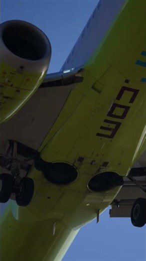 sigma 100-400 + A7r2 (airplane)