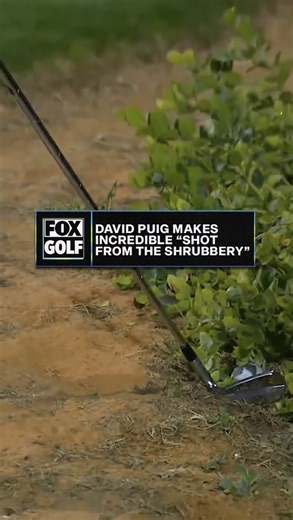 David Puig pulls off a jaw-dropping shot