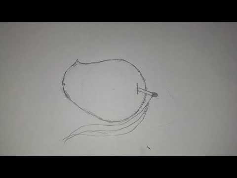How to draw a mango for beginner