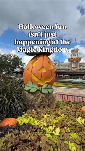 21 reactions | So many fun things happening at Fort Wildnerness this Halloween week! Oct 29 a pet parade from 5:30-6:30pm Oct 30 a Halloween golf cart extravaganza 4:30-5:30pm Oct 31 Camp or Treat 6-9pm and more! #wondermakerstravel #createyourwonder | Wondermakers Travel | Facebook