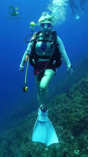 Thailand Tours And Travel on Instagram: "Dive into Pattaya’s secret underwater world 🌊🐠 Full-day Scuba Diving Experience with our own big boat, experienced instructors, and zero stress ✨ ✔️ Certified or non-certified ✔️ Swimmer or non-swimmer ✔️ First time or pro — we’ve got you covered Explore the deep, feel the thrill, and create memories under the sea 🤿 Limited slots available — Book your dive today! 📩 DM us now 📍 Only in Pattaya, Thailand #ScubaDivingPattaya #PattayaThailand #Underwater