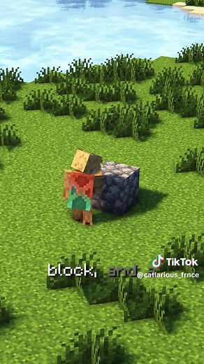 Ultimate Guide to Wind Cannons in Minecraft