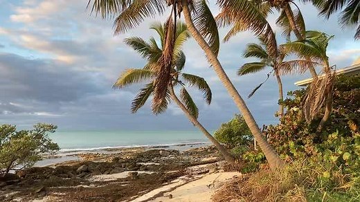 Pause for a moment and enjoy the peaceful tranquility of the shoreline at David Wolkowsky’s Ballast Key in the Key West National Wildlife Refuge. #NatureSolace Learn more: https://nature.ly/3spGkYR | The Nature Conservancy in Florida