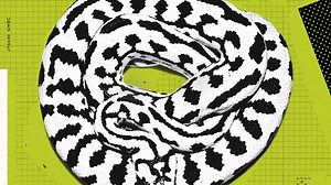 Welcome to the jungle, friends. The next ZW single is out 08.25. 🐍 Pre-save THE JUNGLE now: http://smarturl.it/PreSaveTheJungle | ZAYDE WØLF