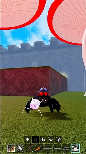 Spider Fruit (Awakened) Showcase | Blox Fruits