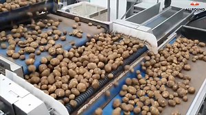 3K views · 16 reactions | Allround Vegetable Processing Machines on Reels | Facebook