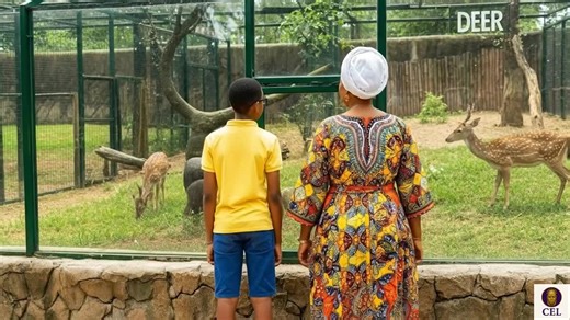 Swahili Language Learning Tips for Beginners