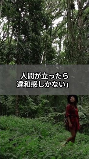 恐竜時代、ここは別世界だった