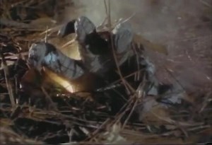 Jack-O - VHS Trailer (1995) | Horror Ads