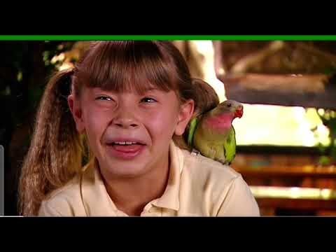 Bindi the jungle girl season 1