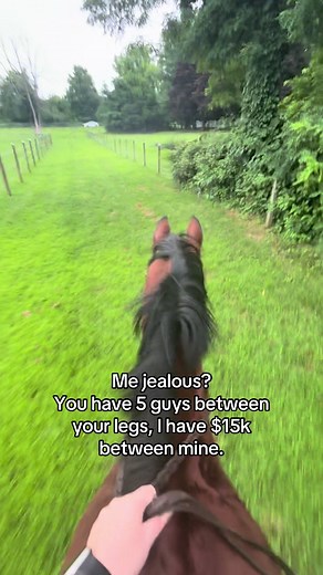Horses and Jealousy in Equestrian Life