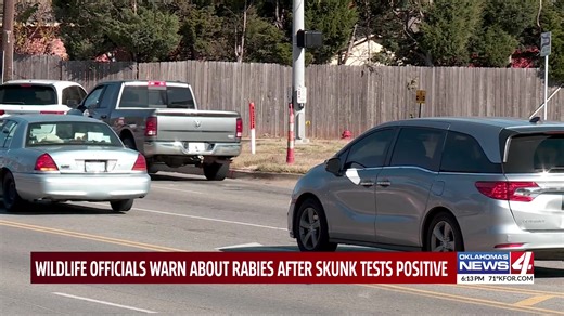 9.2K views · 63 reactions | A rabies alert was issued in Edmond after officials said they found a skunk in town that tested positive for the disease. Edmond Animal Services and the Department of Wildlife Conservation are issuing some important reminders to ensure you and your pets stay healthy. Link to the full story is in the comments below. | KFOR-TV | Facebook