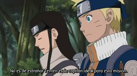 Naruto Shippuden Capitulo 184 sub español