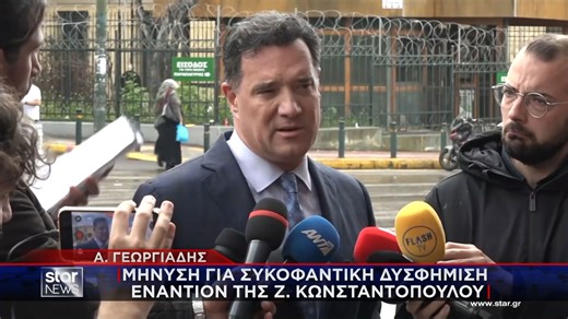 Α. Γεωργιάδης: Κατέθεσε μήνυση κατά της Ζ. Κωνσταντοπούλου