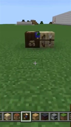 Minecraft Cartography Or Fletching Table Which One Is Better #shorts