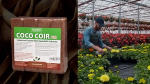 Amazon.com : Harris Coco Coir Pith, 4 Bricks Expand to 9 Gallons of Coconut Coir, Coconut Fiber : Patio, Lawn & Garden