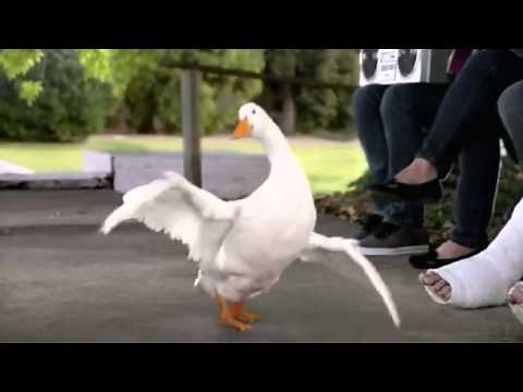 Epic AFLAC breakdancing duck commercial