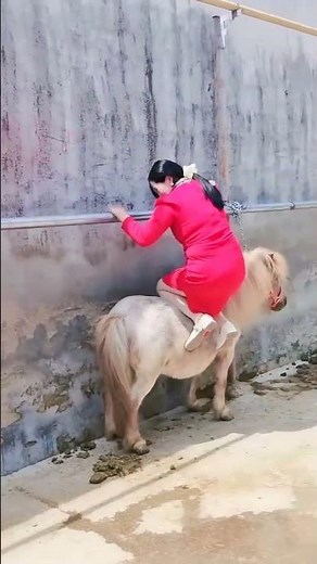The joy of riding a horse Lets ride together Stupid wife rides a horse Equestrian performance
