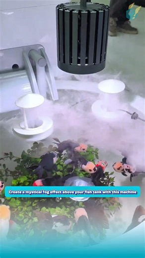 Create a mystical fog effect above your fish tank with this machine