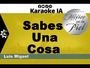 Luis Miguel - Sabes Una Cosa - Karaoke