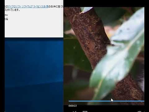 「ZoomIt」のライブズームモード - 窓の杜