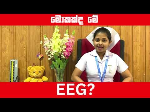EEG පරීක්‍ෂණ යනු කුමක්ද? #navodayahospital #youtube #eeg #viral