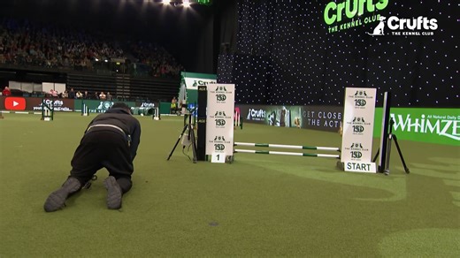 754K views · 16K reactions | The ULTIMATE Crufts blooper reel  #Crufts #Crufts2024 | Crufts | Facebook