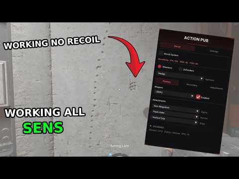 Trying The BEST FREE Anti Recoil Script For R6 - Action Pub