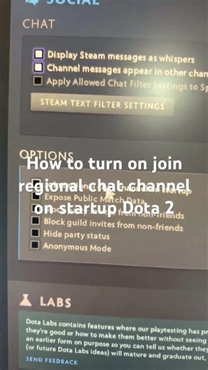 How to turn on join regional chat channel on startup Dota 2