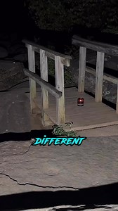 9.3K views · 160 reactions | Chris Netzel Gaming on Reels | Facebook