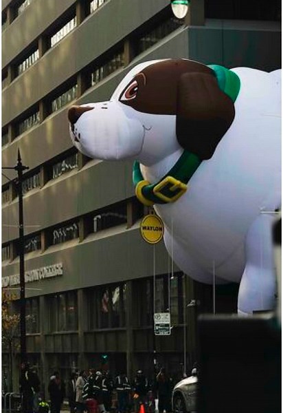 I guess this cutie is stuck 😂 so funny and well done 😄 #marketing #advertising #commercial #ads #filmmaking #dog #dogsoftiktok #dogs #pedigree #pedigreedog #doggo #dogtok #doglove #dogfunny #dogfood #funnytiktok #funny