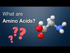What are Amino Acids? | Amino Acid Analysis (1/3) | Biochrom