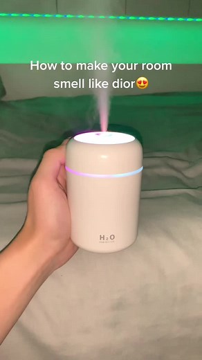 How to Make Your Room Smell Like Dior Sauvage