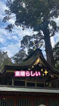 The strongest warrior god, the god who protects with the strongest power ⛩️ [Kashima Shrine]