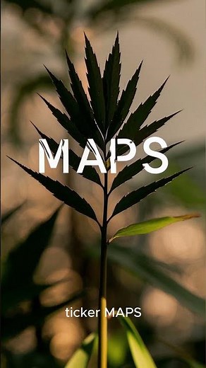 🌿 Can a Leaner Weedmaps ($MAPS) Find a Path to Profit in a Tough Market?