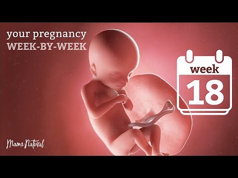 18 Weeks Pregnant - Natural Pregnancy Week-By-Week