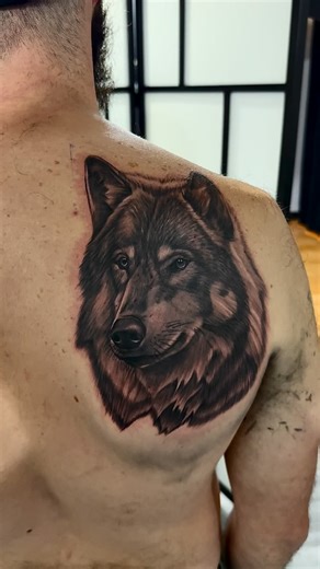 4 comments | Realistic wolf tattoo I did recently really happy with...