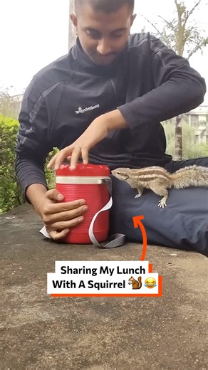 199K views · 539 reactions | Sharing my lunch with a squirrel ️ | Twisted | Facebook