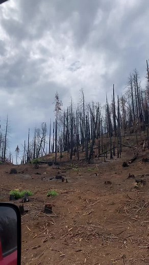 Some of the fire devastation from the Creek Fire last summer In shaver lake 😞 #mountainstrong #creekfire #shaverlake #summer #fypシ