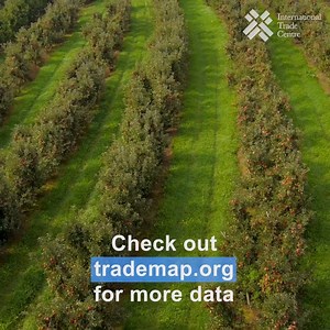 13K views · 49 reactions | The most traded fruits in the world are  bananas,  grapes and  apples, but which ones are your favorites? Discover where your fruit comes from on trademap.org, what the market access conditions are on macmap.org and what potential they still have on exportpotential.intracen.org! And don't forget to eat your 5 fruits a day! | ITC's Market Analysis Tools | Facebook