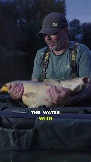 The Pro Care Inflatable mat - Quick to inflate, compact to pack, and built tough 🛡️