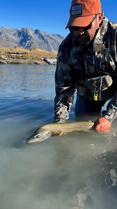 6.8K views · 38 reactions | What do you prefer Brown or Rainbow Trout? Centralsouthoutfitters.com | Central South Outfitters New Zealand | Facebook