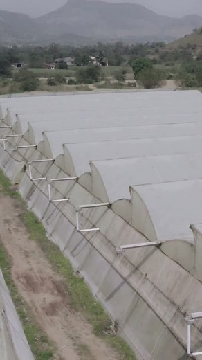 Choosing between NHB and NHM isn’t just a formality. It’s a structural decision that impacts your project size, funding route, documentation burden, inspection timelines, and even the speed at which your greenhouse becomes operational. 1.Loan Requirement NHB: Compulsory Bank Loan required (Credit-Linked Subsidy). NHM: Self-Finance allowed (Loan is NOT mandatory). 2.Project Size Eligibility NHB: Best for projects above 2,500 sq.m (Commercial Scale). NHM: Covers projects up to 4,000 sq.m (Small & 