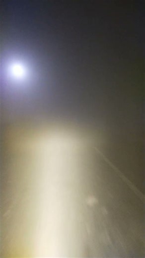 Driving Through Danger | Heavy Fog in Punjab with Fog Lights On | Zero Visibility In Fog | Fog Light