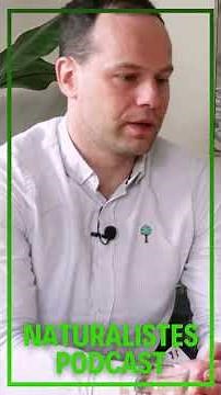 Rediscover medicinal mushrooms with Samuel Tessier - Naturalists #podcast #mushrooms