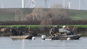 See release of endangered Delta smelt, raised in captivity, into Sacramento River