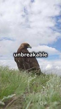 How Pain Can Transform Your Life | Motivational Video #motivation #wildlife #inspiration