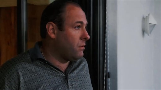 telegram in bio #edit #fyp #framebook #thesopranos #tonysoprano