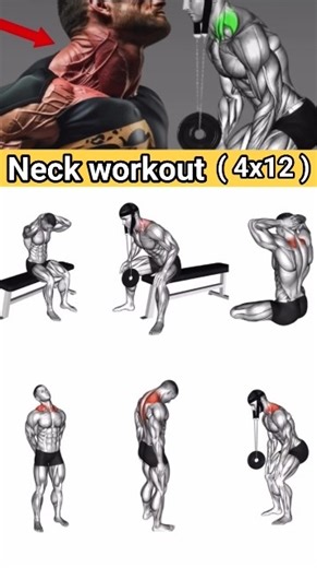 Neck Workout #NeckWorkout #NeckTraining #StrongNeck #TrapWorkout #NeckExercises #gym #gymworkout